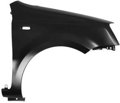 Fiat Spatbord 6504042008312P