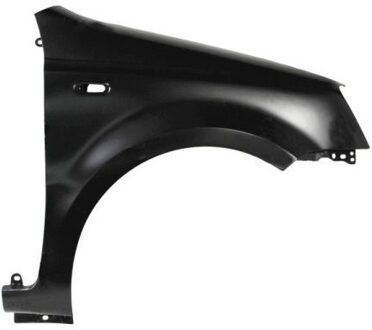 Fiat Spatbord 6504042008312Q