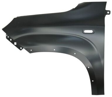 Fiat Spatbord 6504042009313P