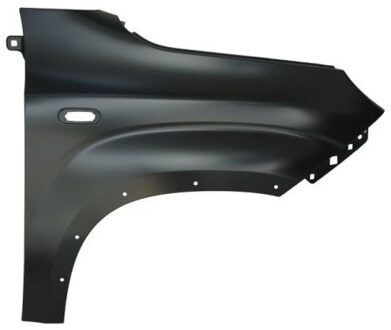 Fiat Spatbord 6504042009314P