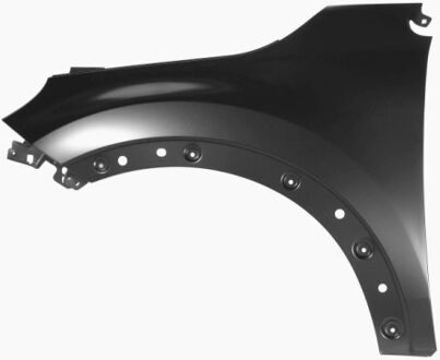 Fiat Spatbord 6504042013313P