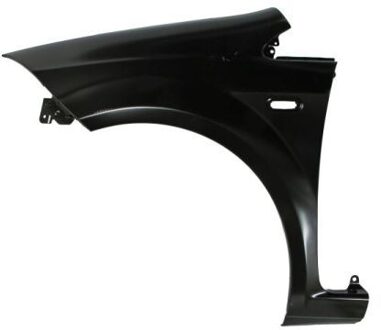 Fiat Spatbord 6504042018311P