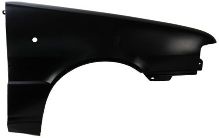 Fiat Spatbord 6504042021312P