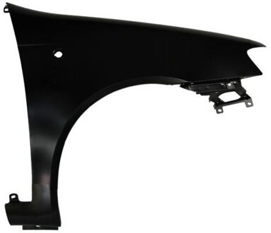 Fiat Spatbord 6504042023312P