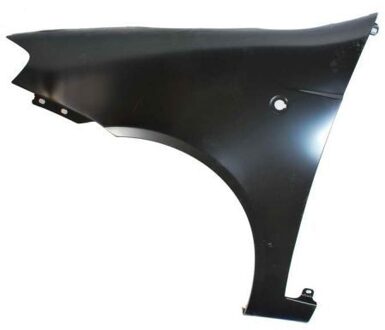 Fiat Spatbord 6504042023313P