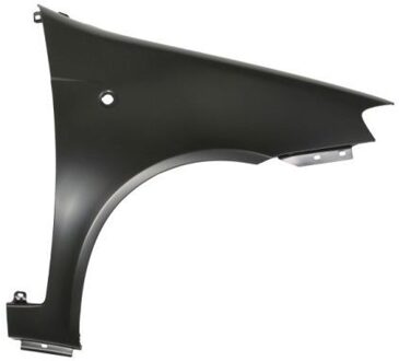 Fiat Spatbord 6504042023314P