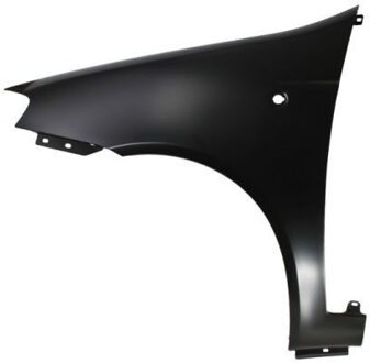 Fiat Spatbord 6504042023315P