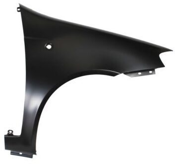 Fiat Spatbord 6504042023316P