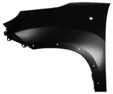 Fiat Spatbord 6504042028313P