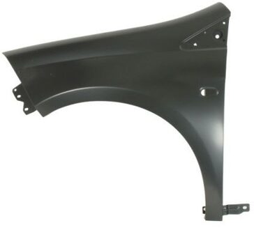 Fiat Spatbord 6504042029311P