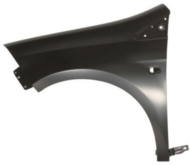 Fiat Spatbord 6504042029312P