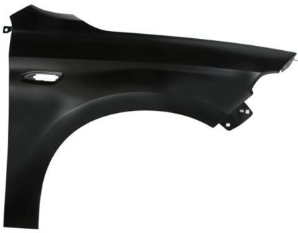 Fiat Spatbord 6504042030312P