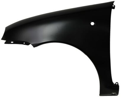 Fiat Spatbord 6504042031311P