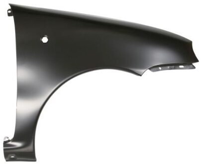 Fiat Spatbord 6504042031312P