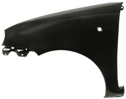 Fiat Spatbord 6504042031313P