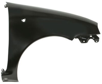 Fiat Spatbord 6504042031314P