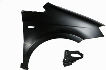 Fiat Spatbord 6504042032312P