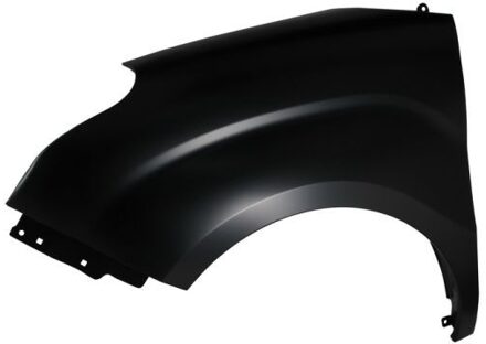 Fiat Spatbord 6504042043311P