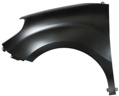 Fiat Spatbord 6504042043313P