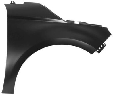 Fiat Spatbord 6504042051312P