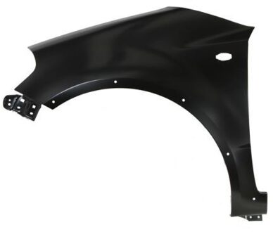 Fiat Spatbord 6504046835313P