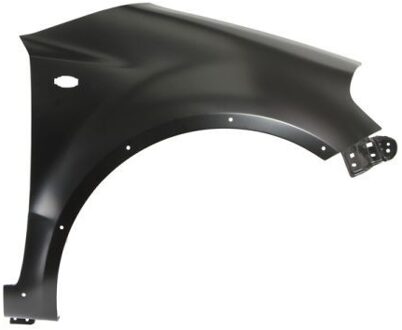 Fiat Spatbord 6504046835314P