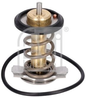 Fiat Thermostaat, koelvloeistof 185598