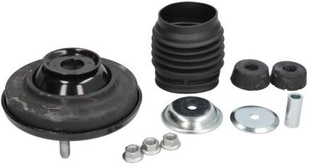 Fiat Veerpoot A75035