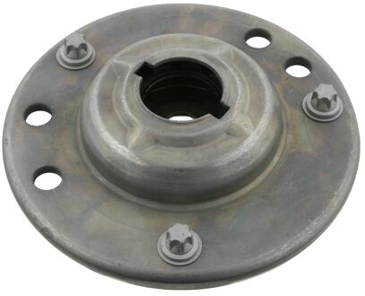 Fiat Veerpootvoering