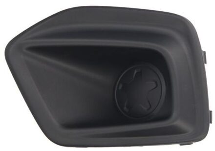 Fiat Ventilatiegrille, bumper 6502072053911Q