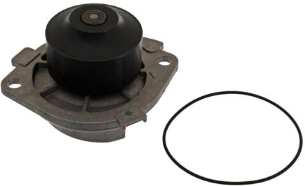 Fiat Waterpomp 10601