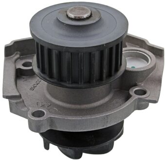 Fiat Waterpomp 14169