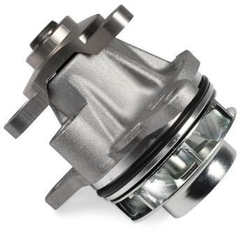 Fiat Waterpomp, motorkoeling P9102