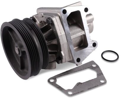 Fiat Waterpomp P1033