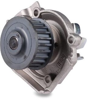 Fiat Waterpomp P1058