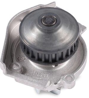 Fiat Waterpomp P1064