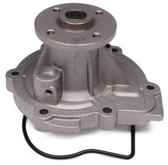 Fiat Waterpomp P7421