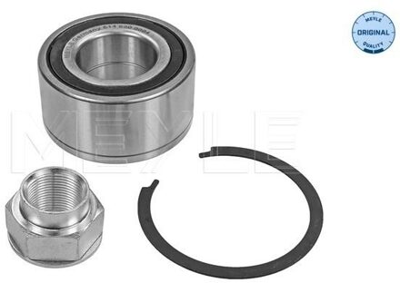 Fiat Wiellager 6146500004