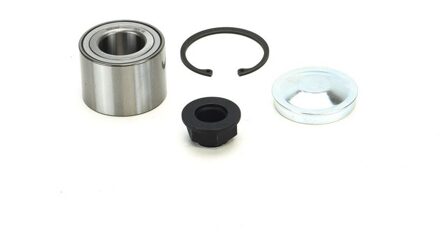 Fiat Wiellagerset WBE1187