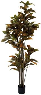 Ficus Deluxe kunstplant 180 cm Groen