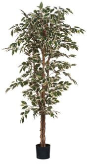 Ficus Kunstplant - H180 x Ø90 cm - Groen Bont