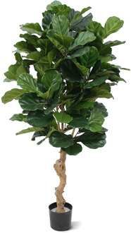 Ficus Lyrata Deluxe 155 cm - Kunstplant