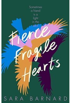 Fierce Fragile Hearts - Sara Barnard