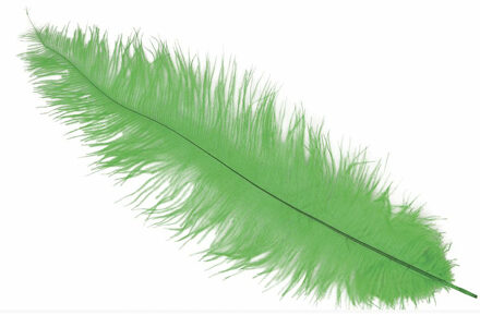Fiestas Guirca Hoofdband Struisvogel Veren 40 Cm Groen