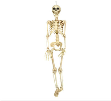 Fiestas Horror/halloween decoratie skelet/geraamte pop - hangend - 90 cm - Halloween poppen Wit