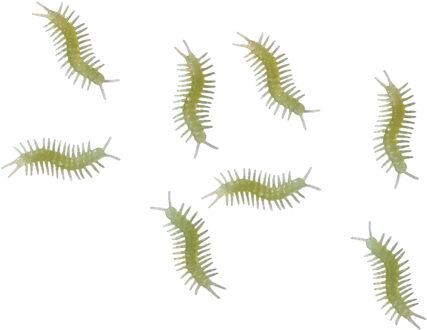 Fiestas nep duizendpoten 6 cm - glow in the dark - 8x - Horror/griezel thema decoratie beestjes - Feestdecoratievoorwerp