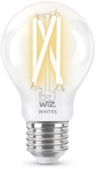 Filamentlamp Warm- tot Koelwit Licht E27 60 W Transparant