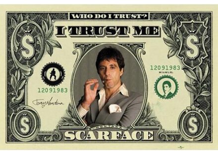 Film poster Scarface dollar 61 x 91,5 cm Gangster thema - Posters Multikleur