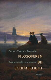 Filosoferen bij schemerlicht - Boek Dennis vanden Auweele (9086871941)