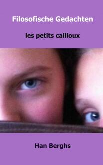 Filosofische Gedachten - Boek Han Berghs (9463420231)